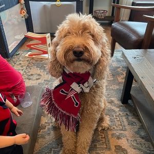 Meet your Posher, Nick